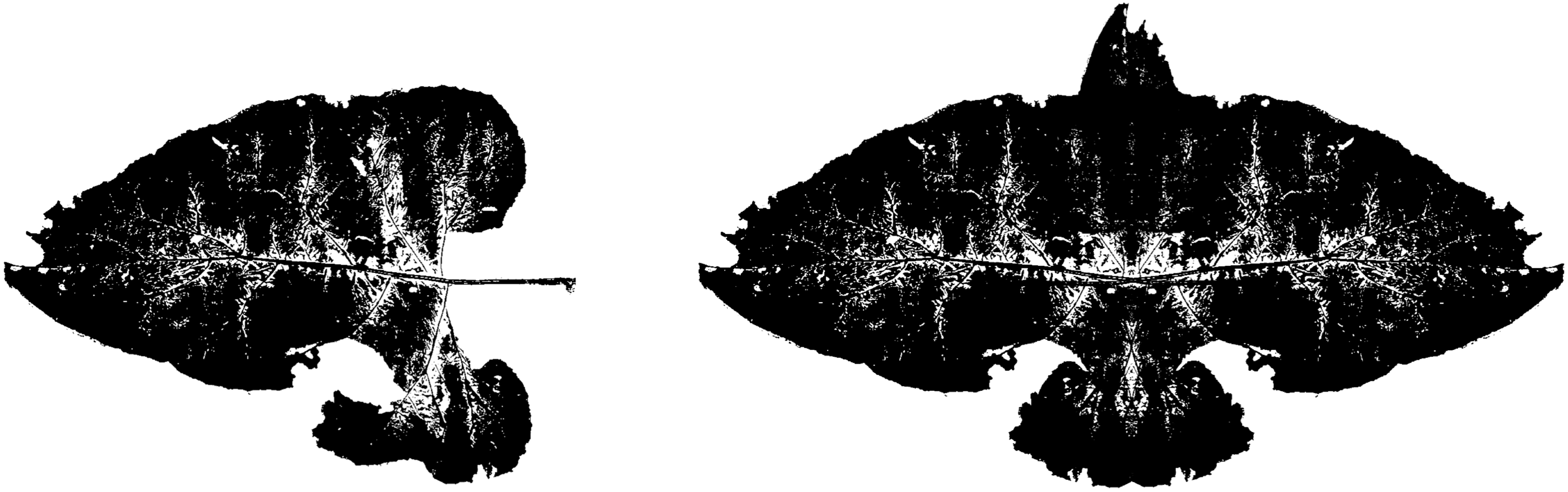 Grafik Trauerkorrespondenz