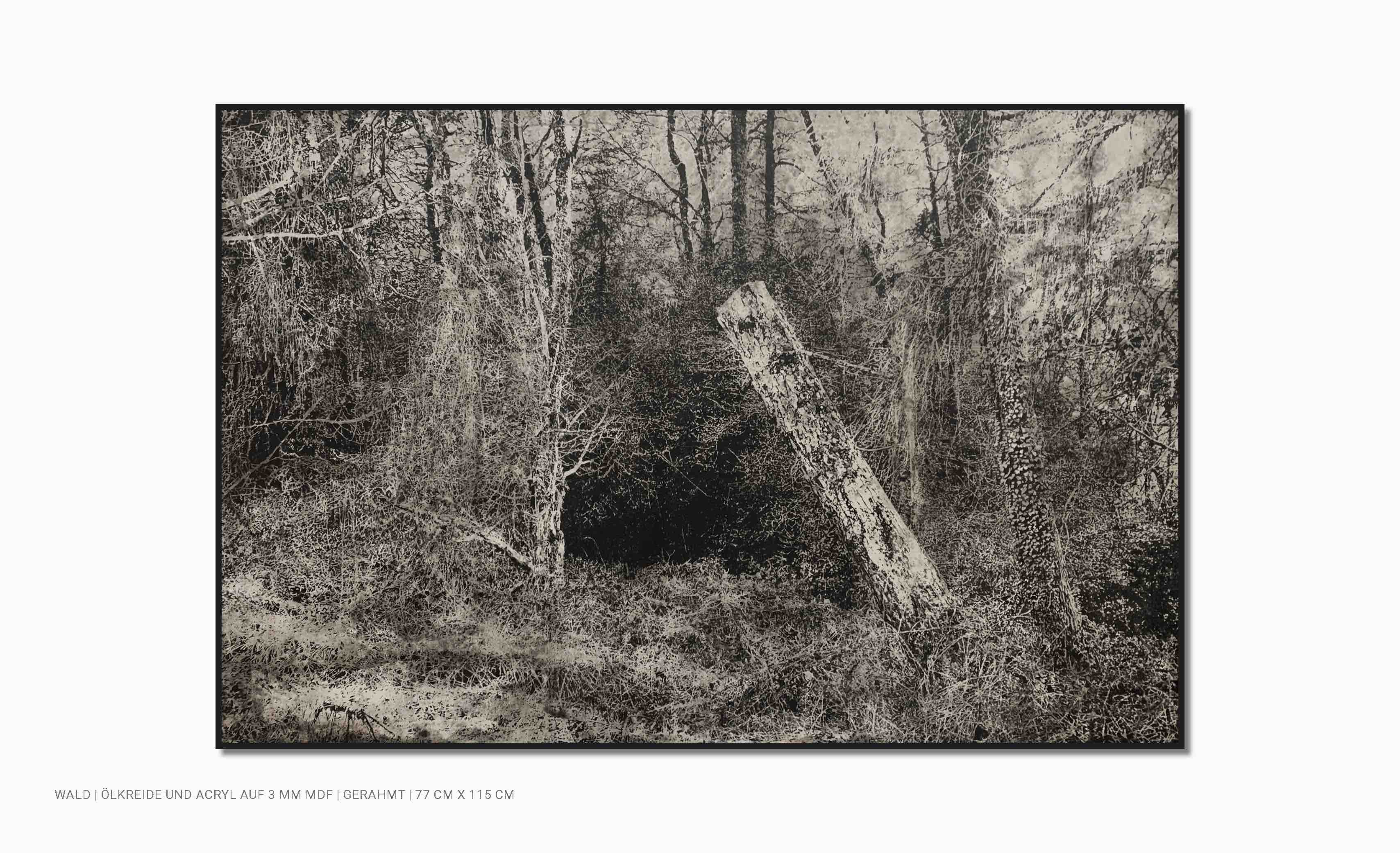 Exponat Kunst detaillierter Wald in s/w